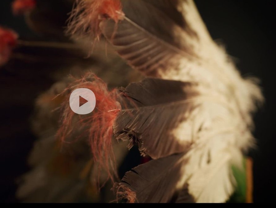 Placeholder image for 'Head Dress '