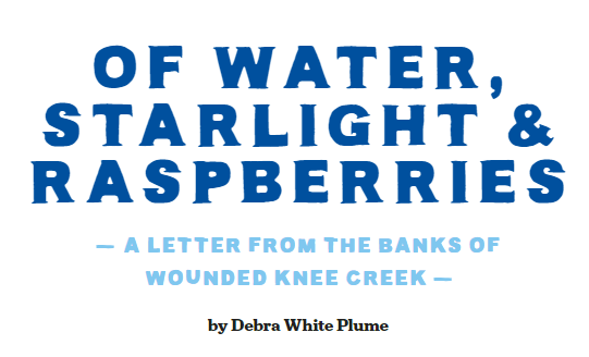 Placeholder image for 'Of Water, starlight & Raspberries - A Letter From the Banks of Wounded Knee Creek'